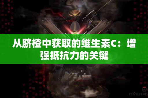 从脐橙中获取的维生素C：增强抵抗力的关键
