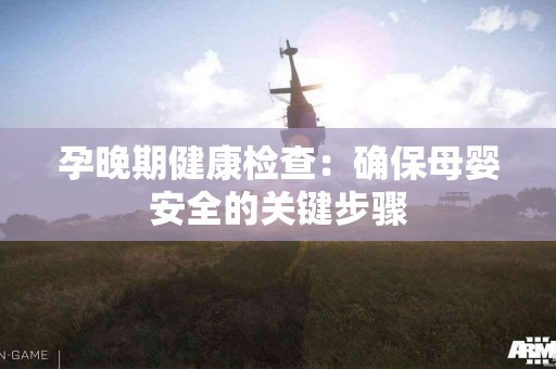孕晚期健康检查：确保母婴安全的关键步骤
