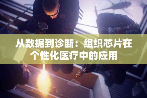 从数据到诊断：组织芯片在个性化医疗中的应用