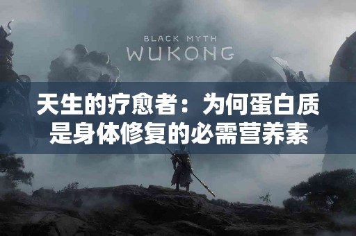 天生的疗愈者：为何蛋白质是身体修复的必需营养素