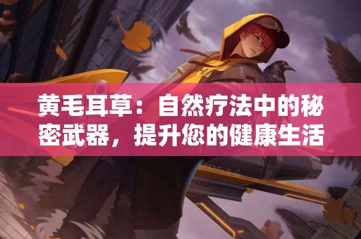 黄毛耳草：自然疗法中的秘密武器，提升您的健康生活