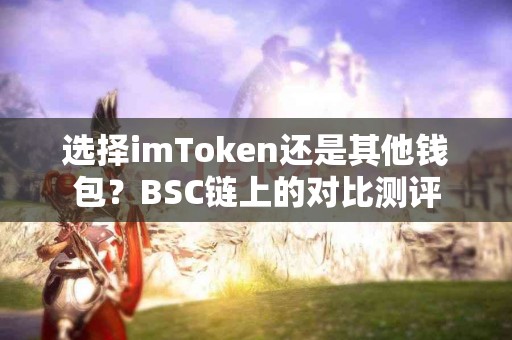 选择imToken还是其他钱包？BSC链上的对比测评