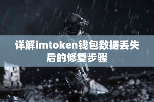 详解imtoken钱包数据丢失后的修复步骤