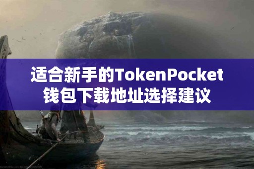 适合新手的TokenPocket钱包下载地址选择建议