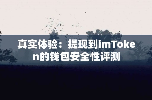 真实体验：提现到imToken的钱包安全性评测