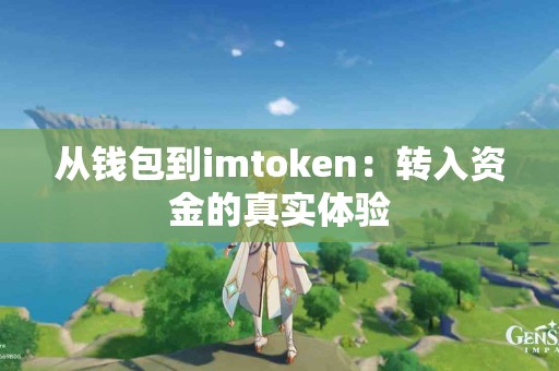 从钱包到imtoken：转入资金的真实体验