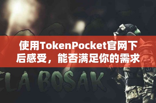 使用TokenPocket官网下后感受，能否满足你的需求？