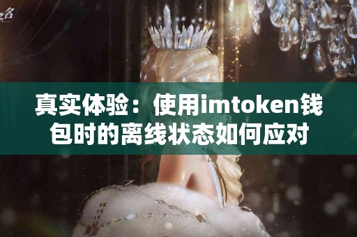 真实体验：使用imtoken钱包时的离线状态如何应对