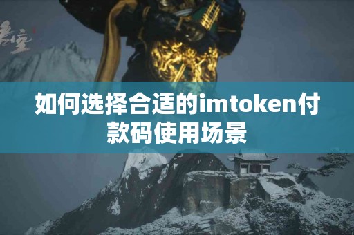 如何选择合适的imtoken付款码使用场景