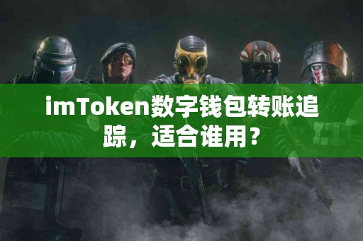 imToken数字钱包转账追踪，适合谁用？