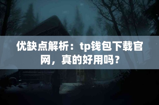 优缺点解析：tp钱包下载官网，真的好用吗？