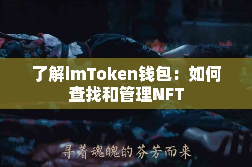 了解imToken钱包：如何查找和管理NFT