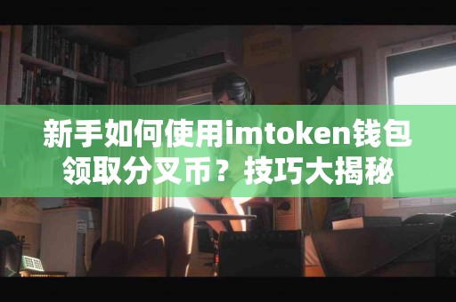 新手如何使用imtoken钱包领取分叉币？技巧大揭秘