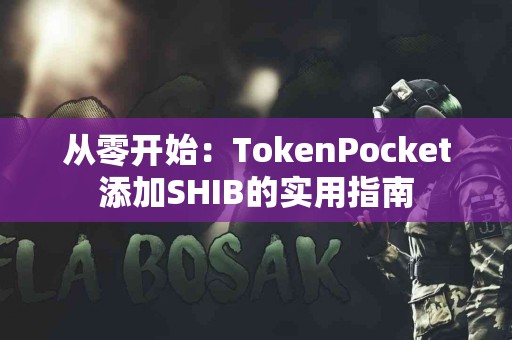 从零开始：TokenPocket添加SHIB的实用指南