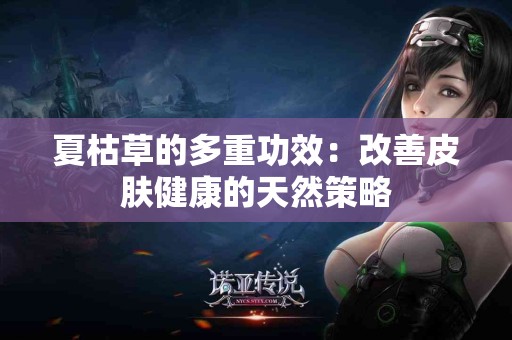 夏枯草的多重功效：改善皮肤健康的天然策略