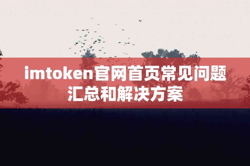 imtoken官网首页常见问题汇总和解决方案
