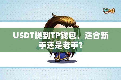 USDT提到TP钱包，适合新手还是老手？