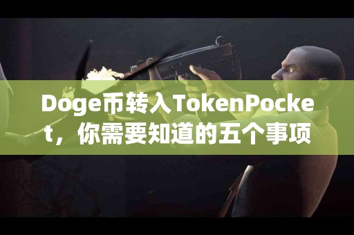 Doge币转入TokenPocket，你需要知道的五个事项