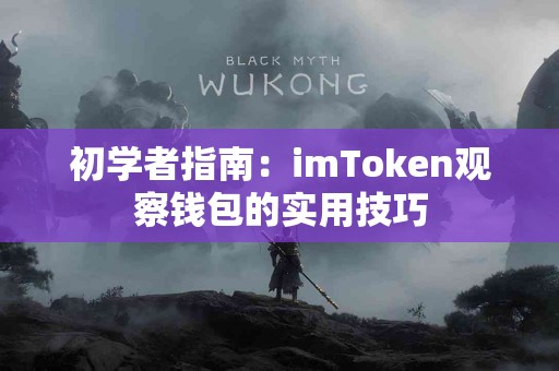 初学者指南：imToken观察钱包的实用技巧