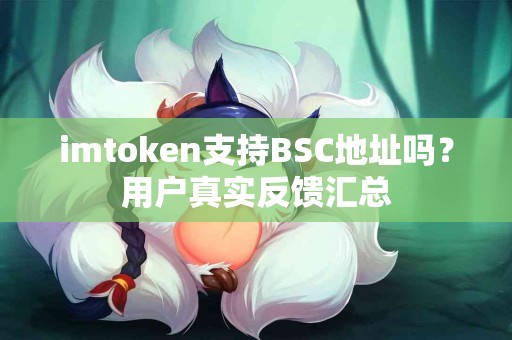 imtoken支持BSC地址吗？用户真实反馈汇总