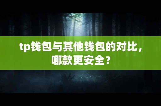 tp钱包与其他钱包的对比，哪款更安全？