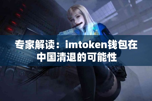专家解读：imtoken钱包在中国清退的可能性
