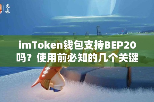 imToken钱包支持BEP20吗？使用前必知的几个关键点