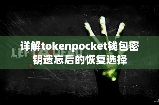详解tokenpocket钱包密钥遗忘后的恢复选择