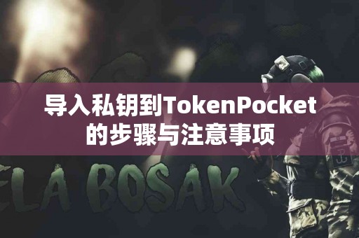 导入私钥到TokenPocket的步骤与注意事项
