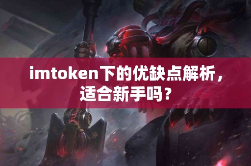 imtoken下的优缺点解析，适合新手吗？