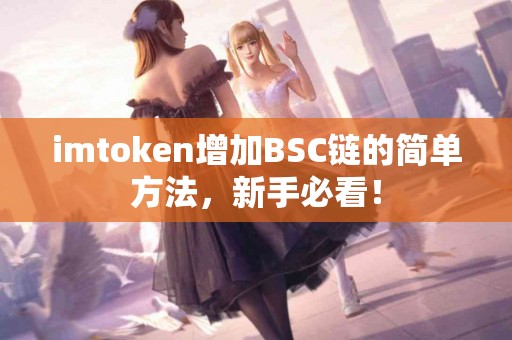 imtoken增加BSC链的简单方法，新手必看！