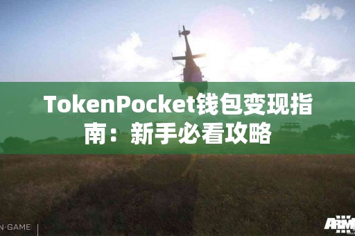 TokenPocket钱包变现指南：新手必看攻略