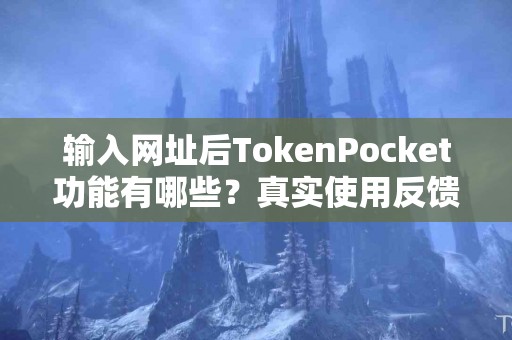 输入网址后TokenPocket功能有哪些？真实使用反馈
