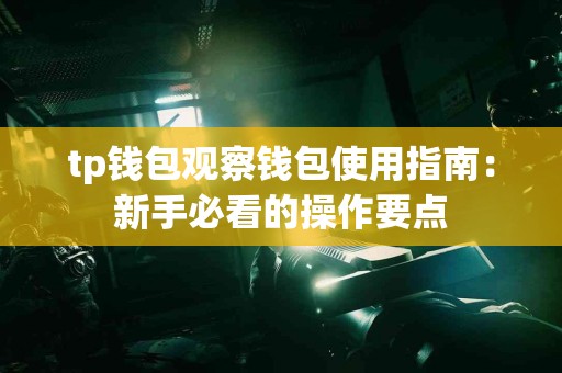 tp钱包观察钱包使用指南：新手必看的操作要点