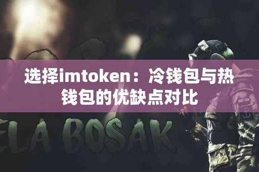 选择imtoken：冷钱包与热钱包的优缺点对比