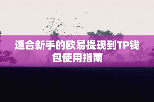适合新手的欧易提现到TP钱包使用指南