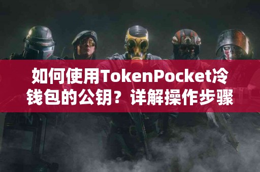 如何使用TokenPocket冷钱包的公钥？详解操作步骤