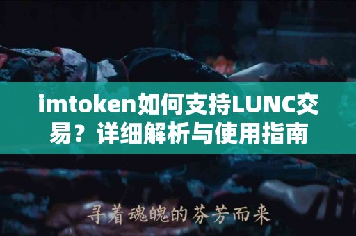 imtoken如何支持LUNC交易？详细解析与使用指南