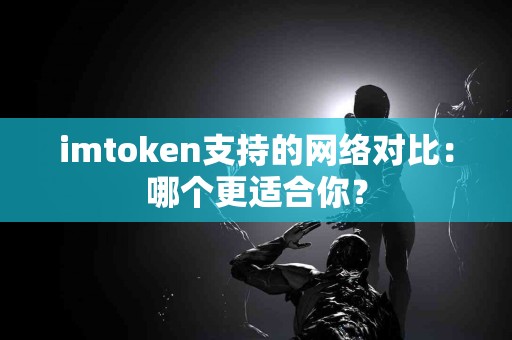 imtoken支持的网络对比：哪个更适合你？