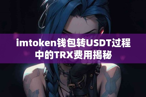 imtoken钱包转USDT过程中的TRX费用揭秘