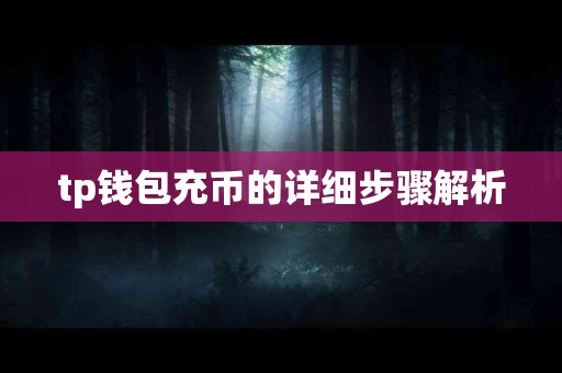 tp钱包充币的详细步骤解析