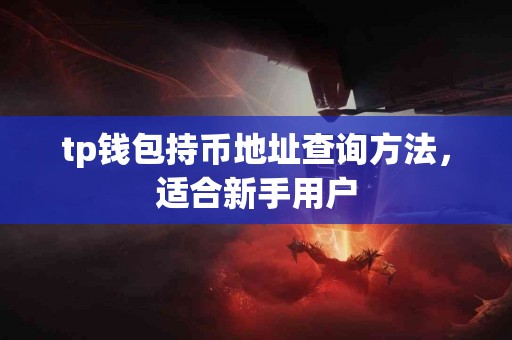 tp钱包持币地址查询方法，适合新手用户