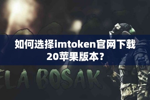 如何选择imtoken官网下载20苹果版本？