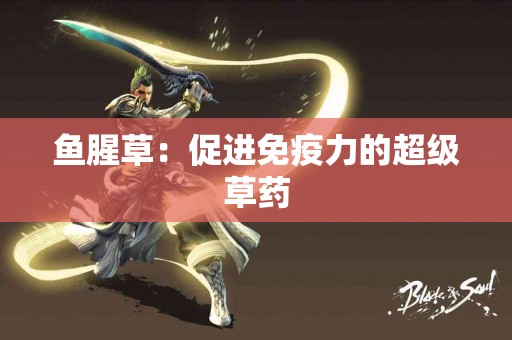 鱼腥草：促进免疫力的超级草药