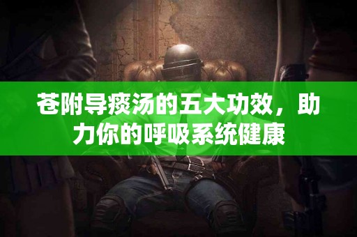 苍附导痰汤的五大功效，助力你的呼吸系统健康