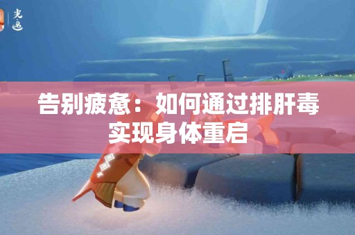 告别疲惫：如何通过排肝毒实现身体重启