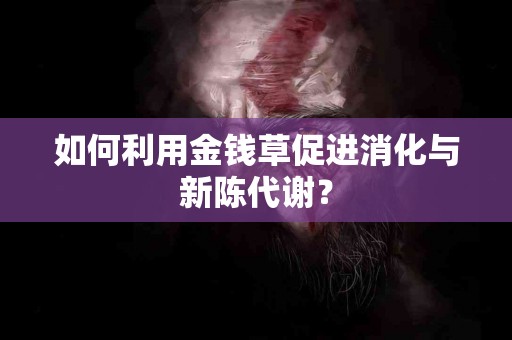 如何利用金钱草促进消化与新陈代谢？