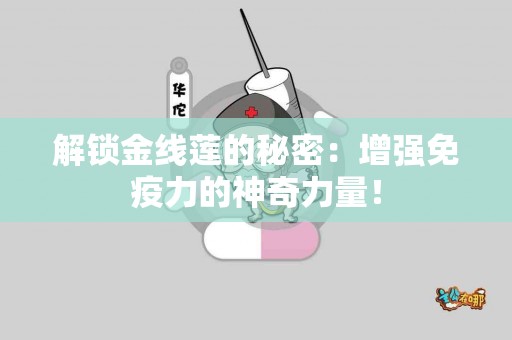 解锁金线莲的秘密：增强免疫力的神奇力量！